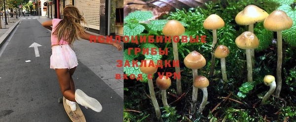 mdma Россошь